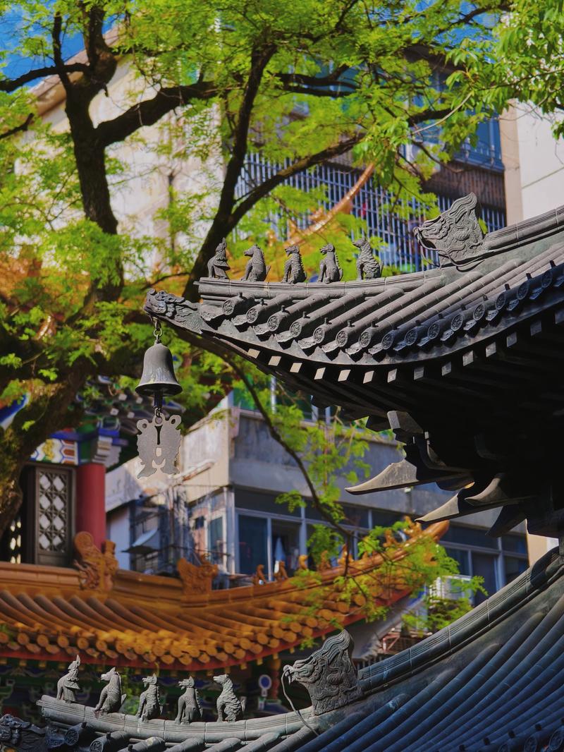 ƴʮǩԵ_ͨϰô(ƴʮǩԵͨϰǷѽ)