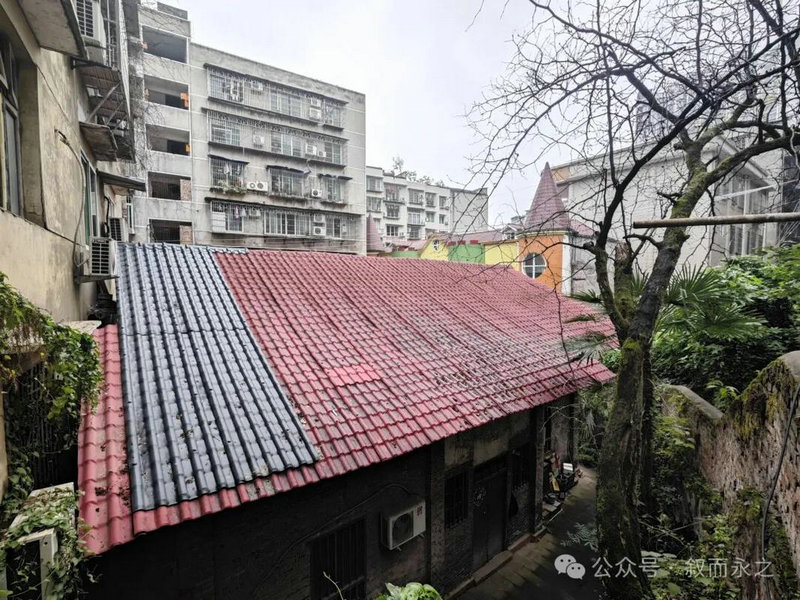 ˮƿŮϰߺʲô,ˮƿŮԸ